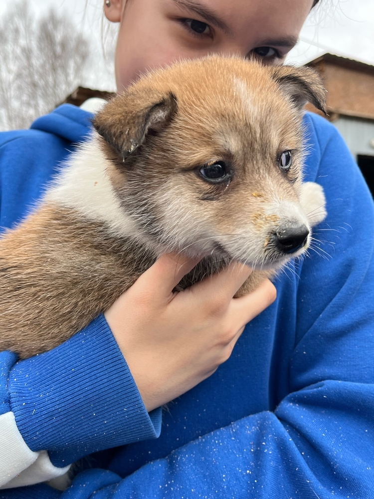 9JQbTomlzV3Ax0LBbMayHgJ9kybhij-NYA4FT4oZ