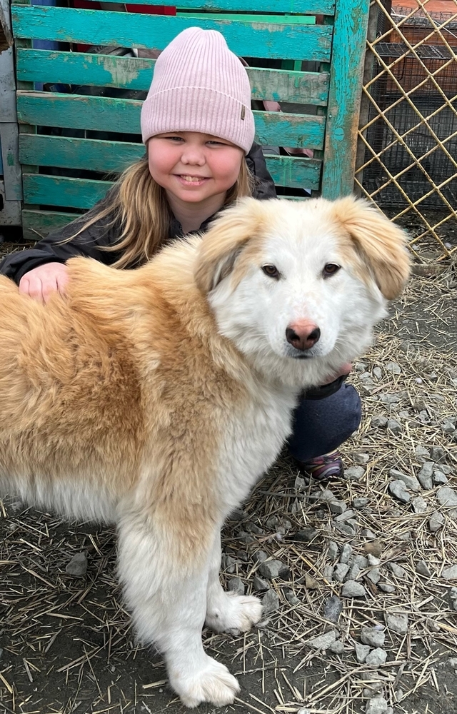 yy07eXwmXJ8_aaoDz4Ub4SkM1vyiYkCrdoQHhWoZ