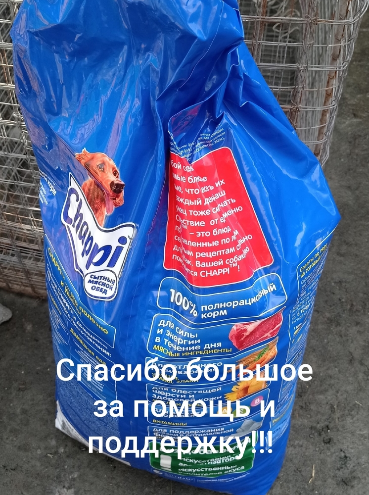 q-COiqm8QML1I9Q9OPlieoHz2csAfXkE_mslXU1O