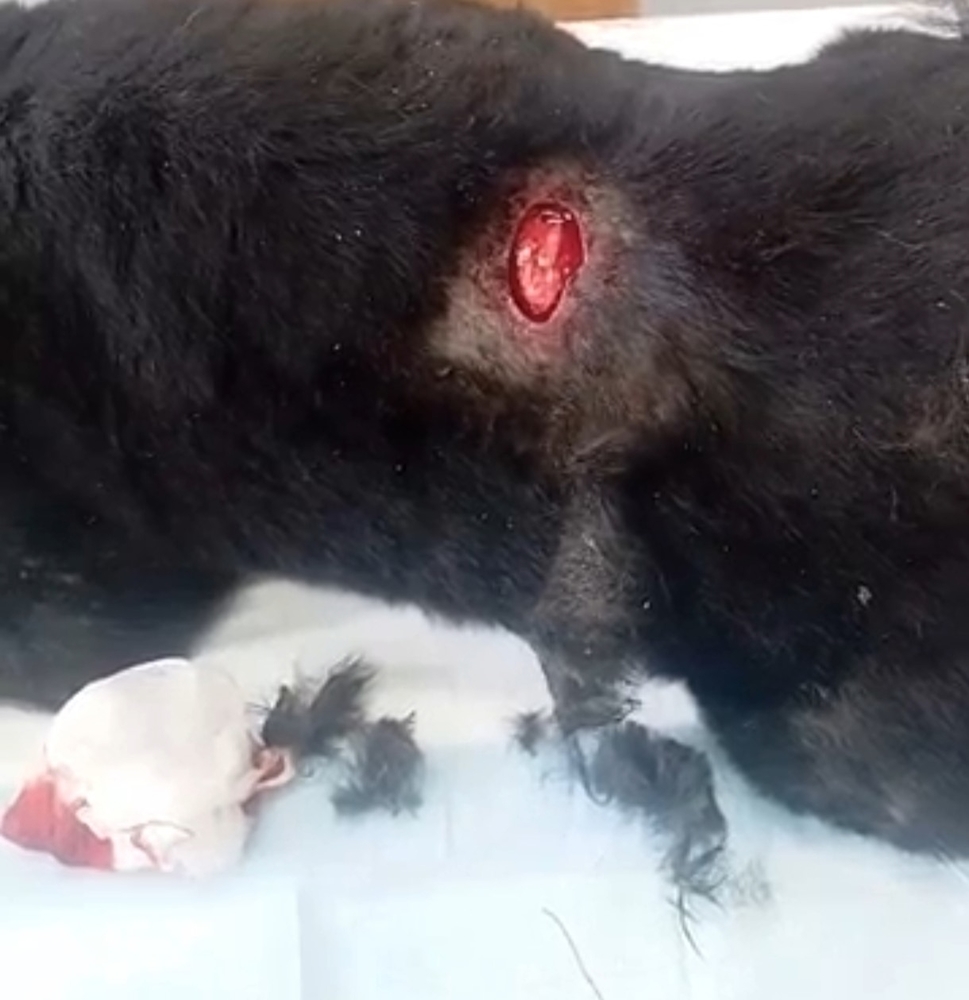 mrooC-pMgIX9S1ZvUcNDqcaENWNSPWunXG58JMYG