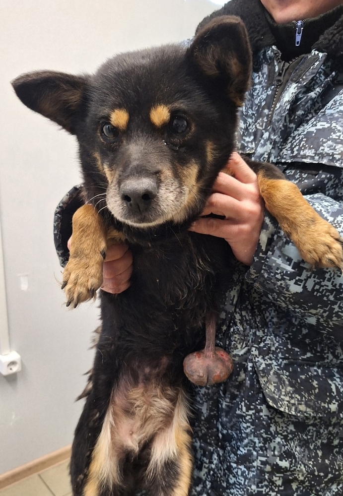 -NHrocLo6rrl3MfSEVl_5UQ7mObPbVbB4y177mRu