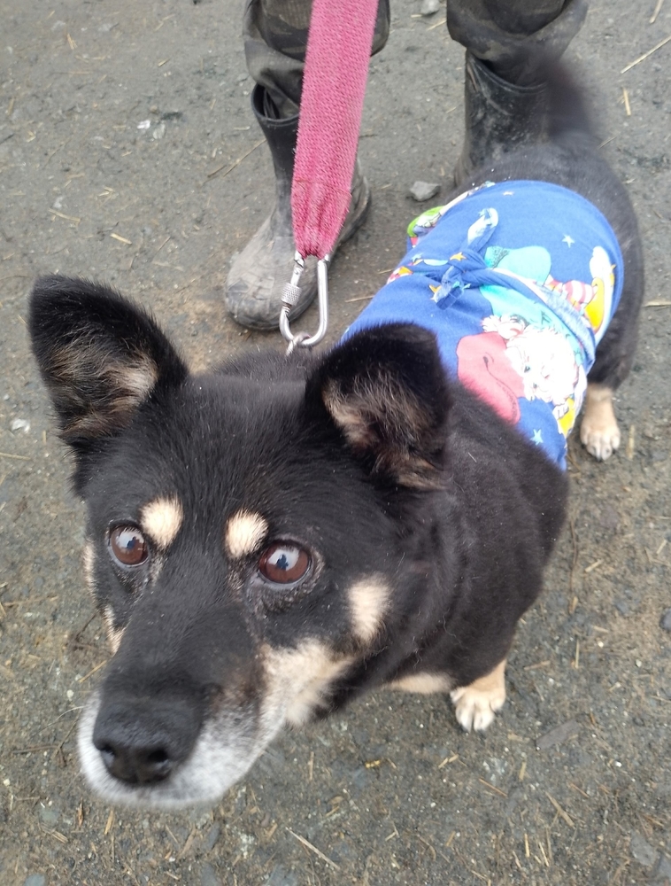 PdxuwxnPzGpP6S3ygnWGUoYngVAWunLWtpTfjaze