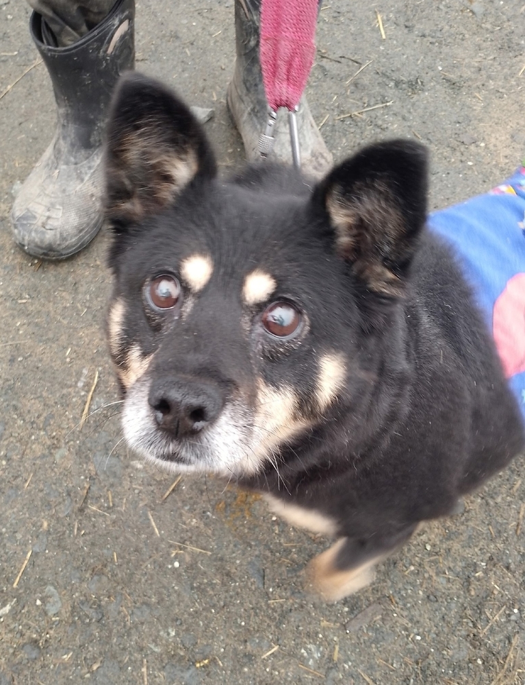 rEQzuWQGK-gPRoil9uoY0NpsQd3D-H_iIjJAv0nc