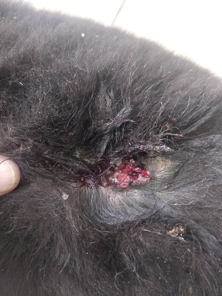 UWvTxrZz2rdFjYwoOjcxYIhNfACrCY6Vy7YlpjYO