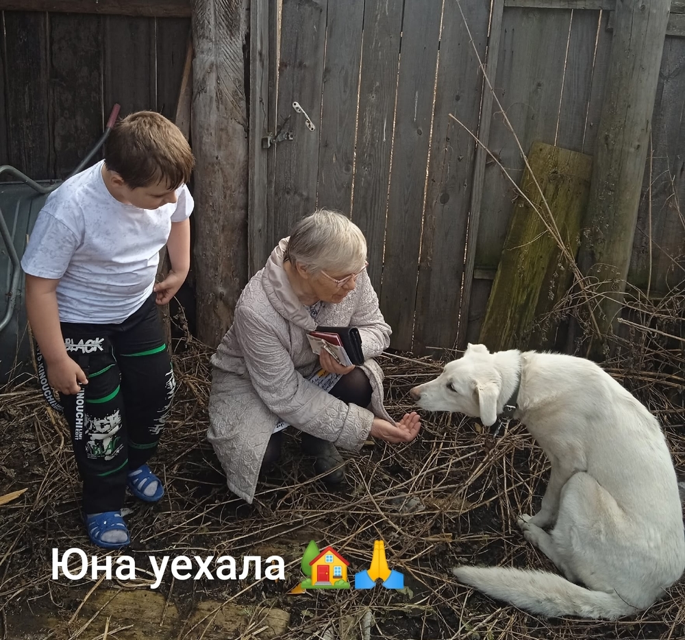 c95L910bFbGZrq16gdUJa7gQSez0MsB3LwBXHIhK