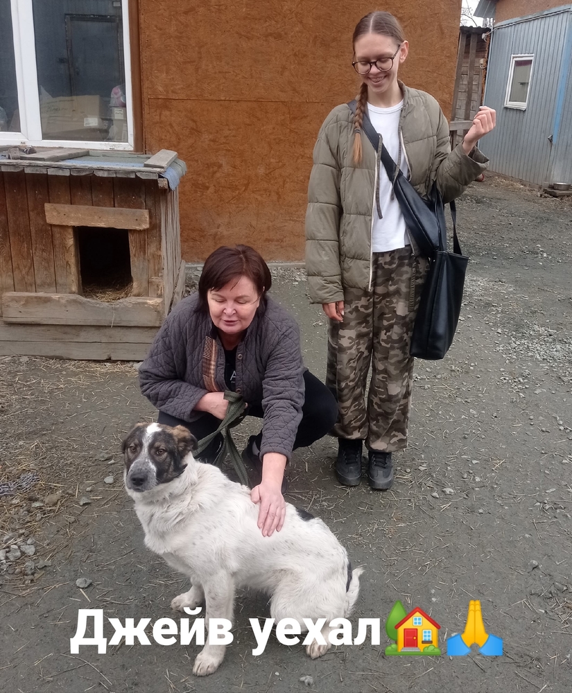 e_N4ZDQFrdWyng09auPLyCptQDcdNEZ0DYSKHNlW