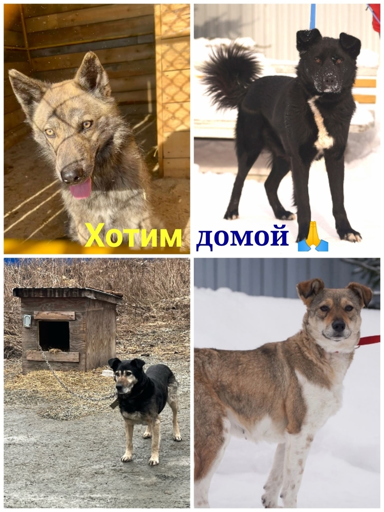 HWKIrFPEAk27G-rzYjo9UdXJUQjSyR69DuLy3tsl