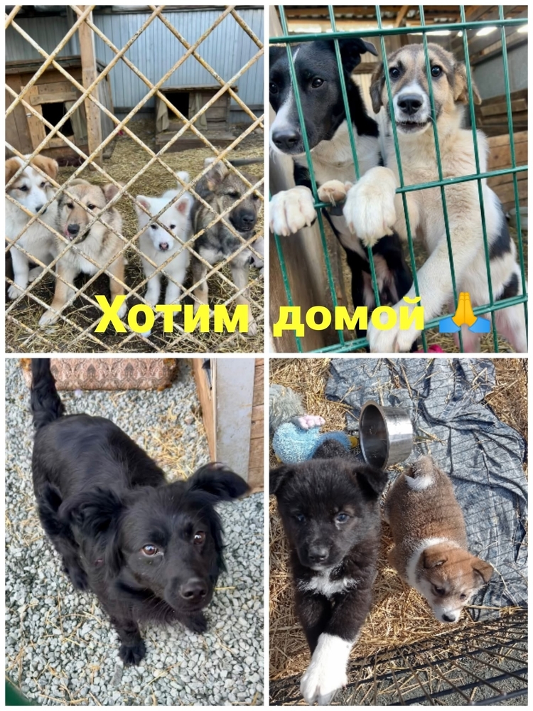 i2v5W6JrL2EMnC9wqBOOXqF8ww8Ugw6dGwAZmNbC