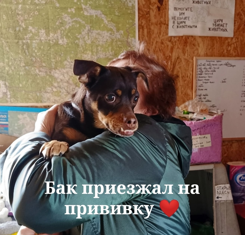 WO-507ce8MPBTw2lZZivVsZrIL9wvYm9xZU3xL9i