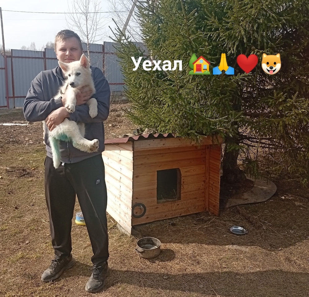 xeCdY9frHFiHPlK6m96siEpBNDrgqJY1Id3LSqog