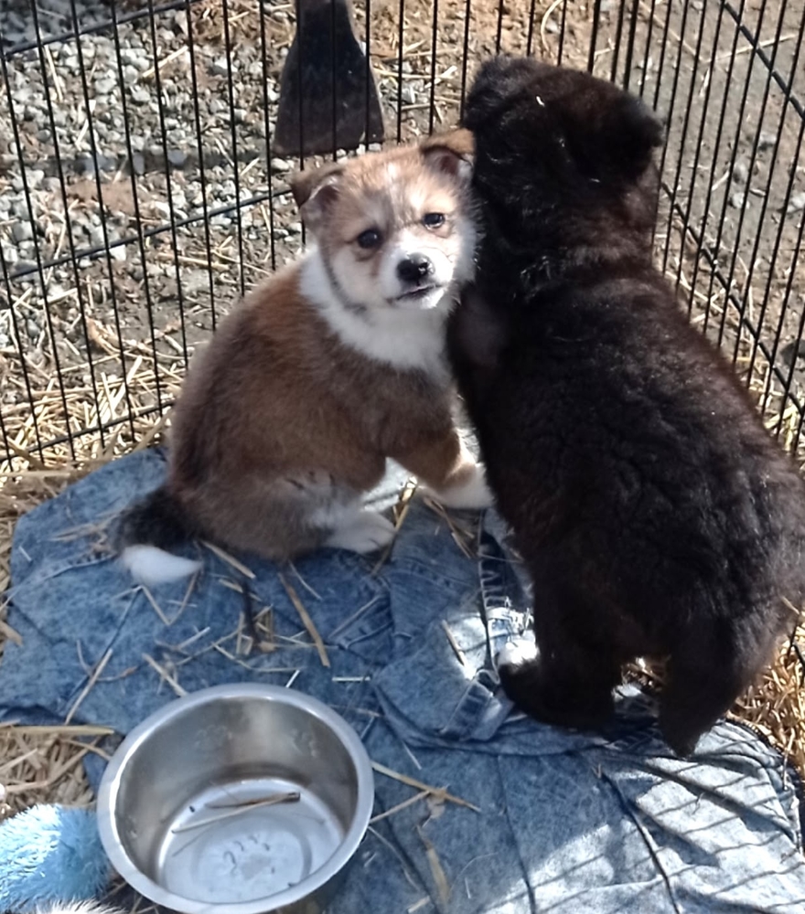 FXmobLtdpxWApqR_t6ZHMQlbye1Kf9loKSu9r5sr