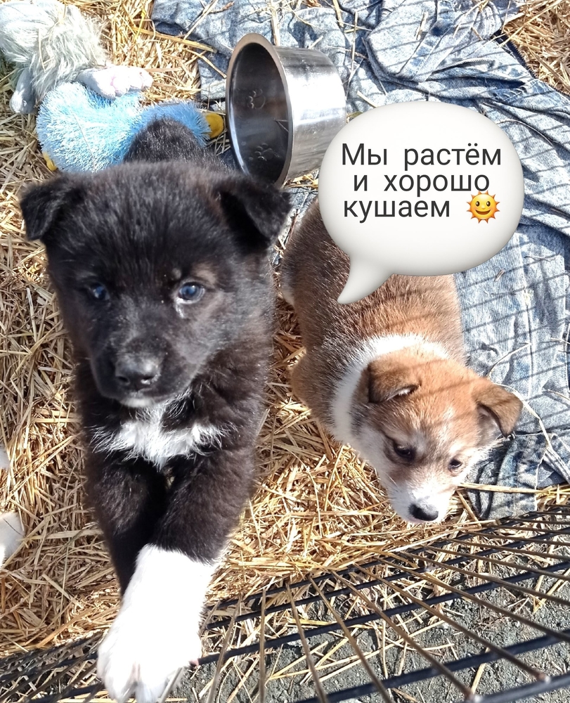 QMPBTO4w3icReJhVzymWv3DuxjZIrZ9BkxuyaHrN