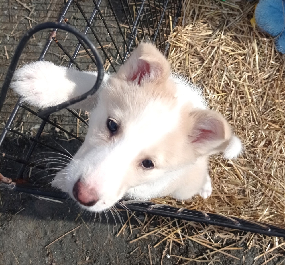 soLrLcoB9ooOSfnNleq5riFz-yEZZ0PJ-xw_f-1b