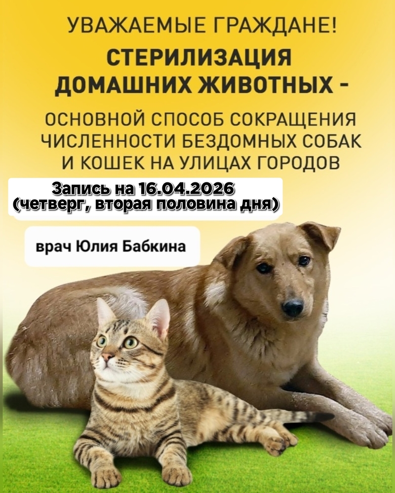 uNKnn9EhZwu0jMzA6lXVnKAjw9Un-X46rH7Ii3DQ