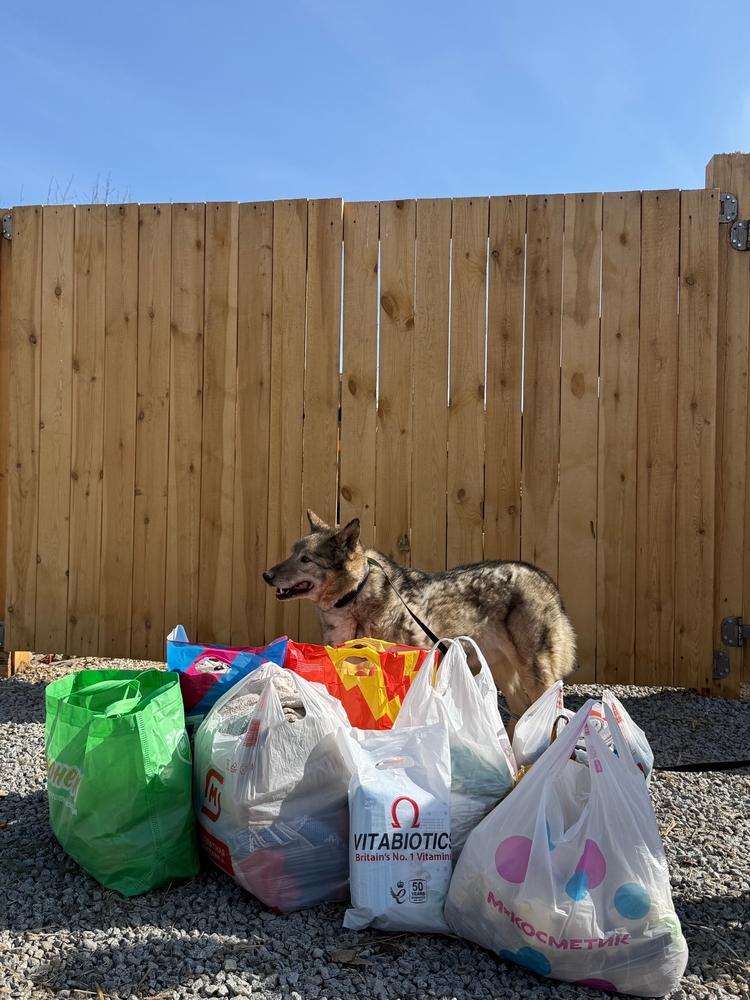 aVcnOJK6rx7xGpyxQz5uQhJaLhTiWAyLFcGyVA-H