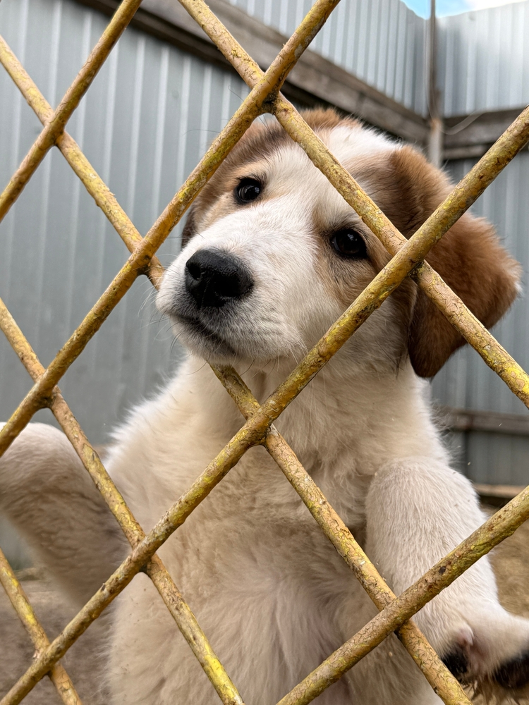 m_mmIxpn1LrwtT-rZobt2WsaVkBsUegRCh00gzqq