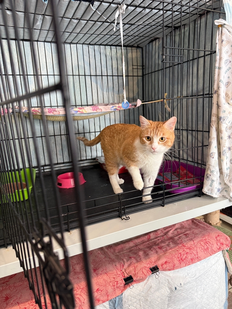 SsF09gY4OEyT9bGTiLk2VPQqdaXyN7S0m3F5kkGH