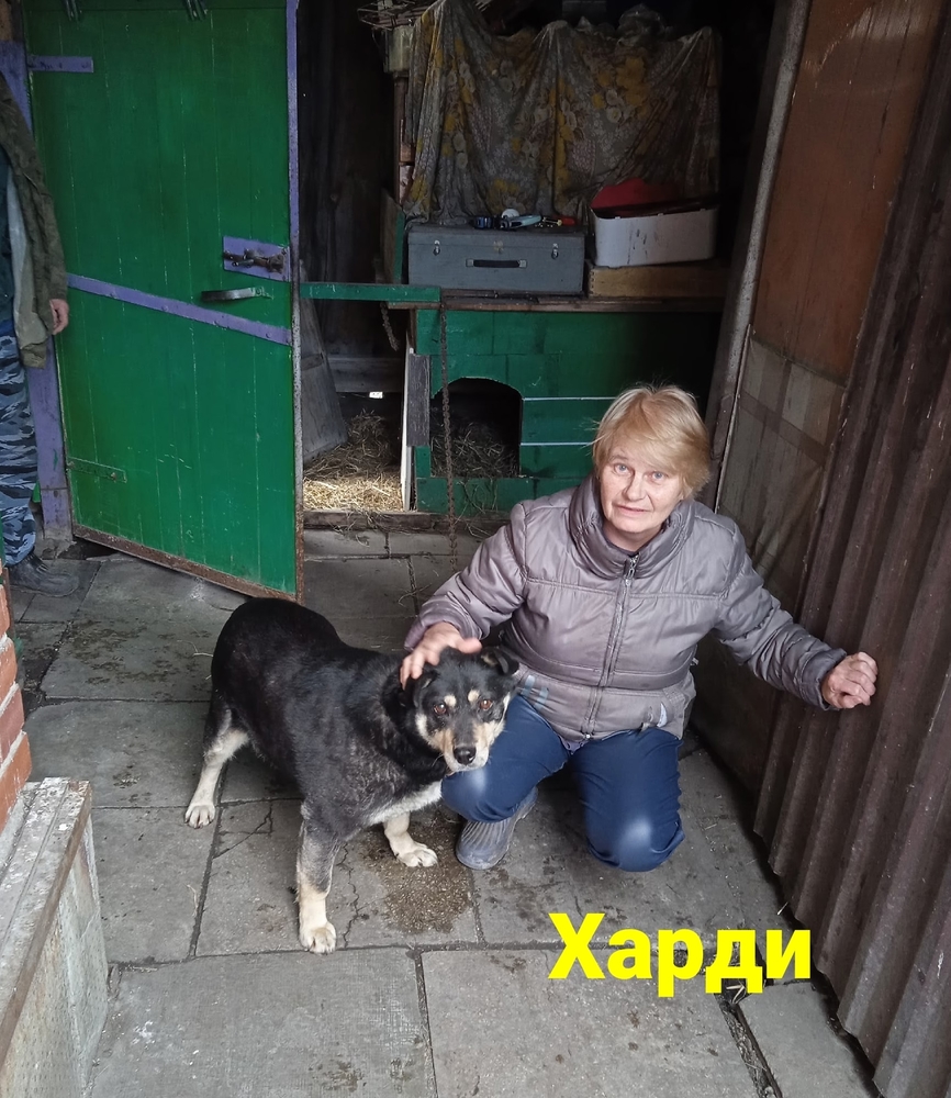 BiRDh8nsY6CgRRQJ79GCLsVb5k7roiVaGxW4pmKY