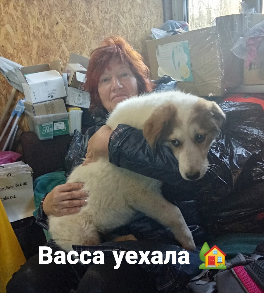 BxQ4CPN7n1h3LEyits6NclQj_qw-pWbu-8xTzMFy