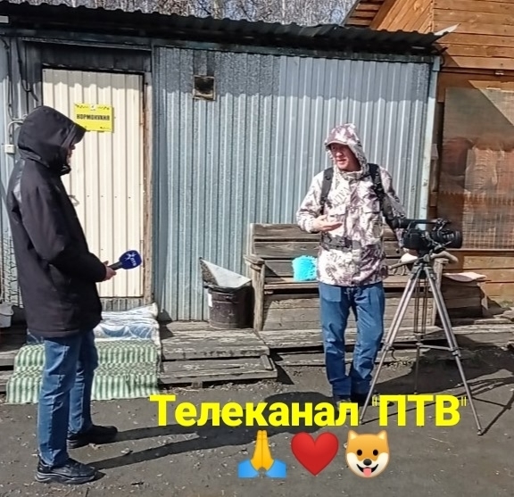 k4y7GDqgVfqzTzAVcI5sMKk25tisyzskzrZfQAAZ