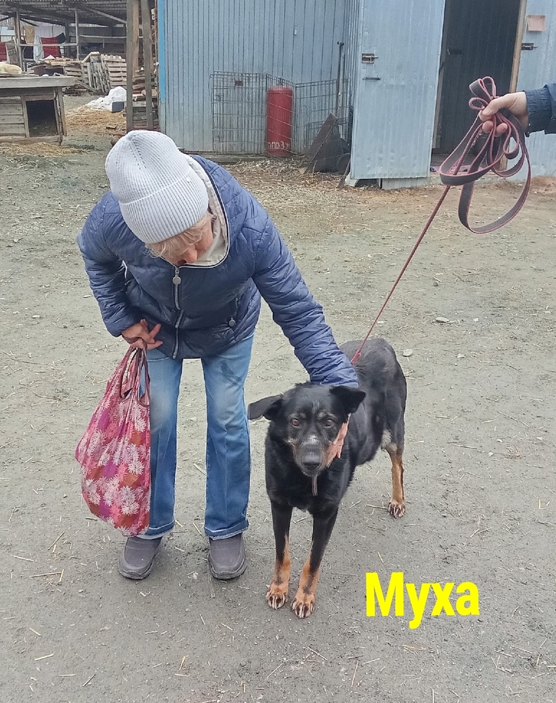 -SKSLjwdiLcmM2GolAWMImjZS4nvaoxT8ZIsWJPt