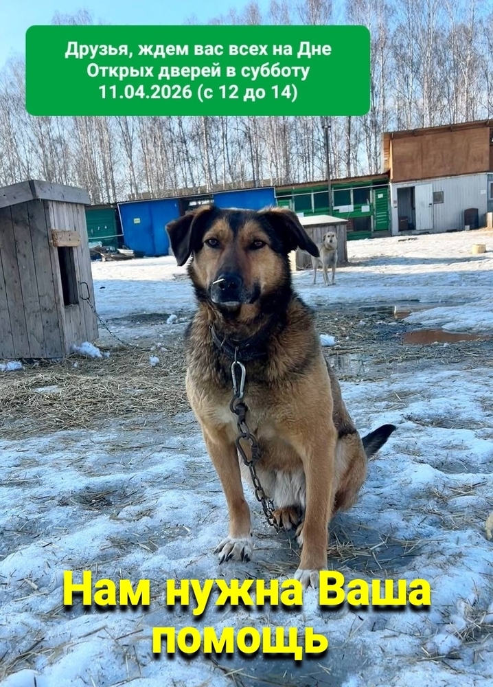 C1bqbvASMYfoShUOZIY3JjAHDeoK1cOITsAmPrHQ