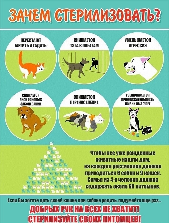 ODDn30XwxmFBB7BOn2FUDbtUtWGeFJTfiD9KMevL