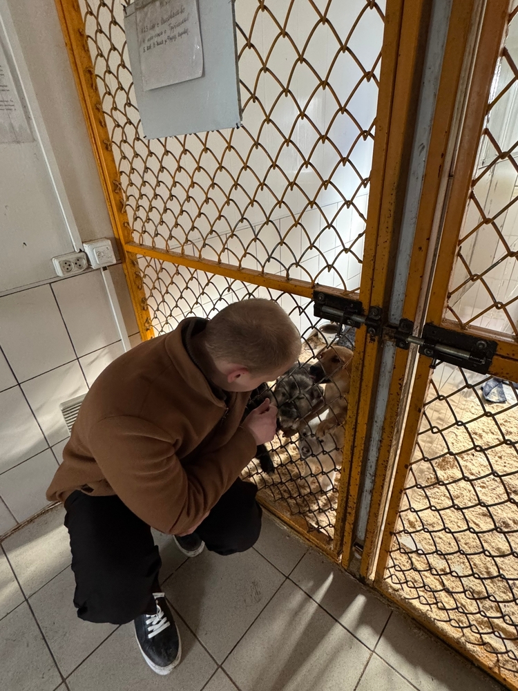 2P6PBJDgTITYX4aWT29yxQjqbpr2MrDC2eZ092Lf