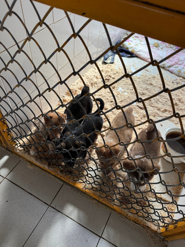 vpWONXDlbJ1uHcXSYYRKRdD_mSfKjElrMXLO7KEZ