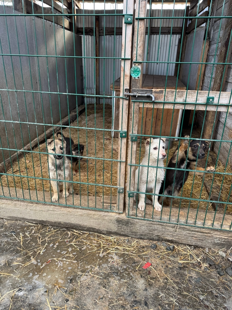 Yb0DZbEsNRkXZlPw0oBq0i0YNKzDfIDeHYly4J4s