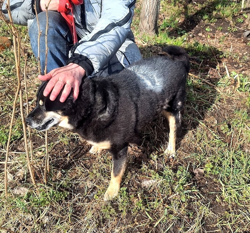 _XSNws-YVg3nxZBylFBybZIGnf4FW0uyL7UEkfw4