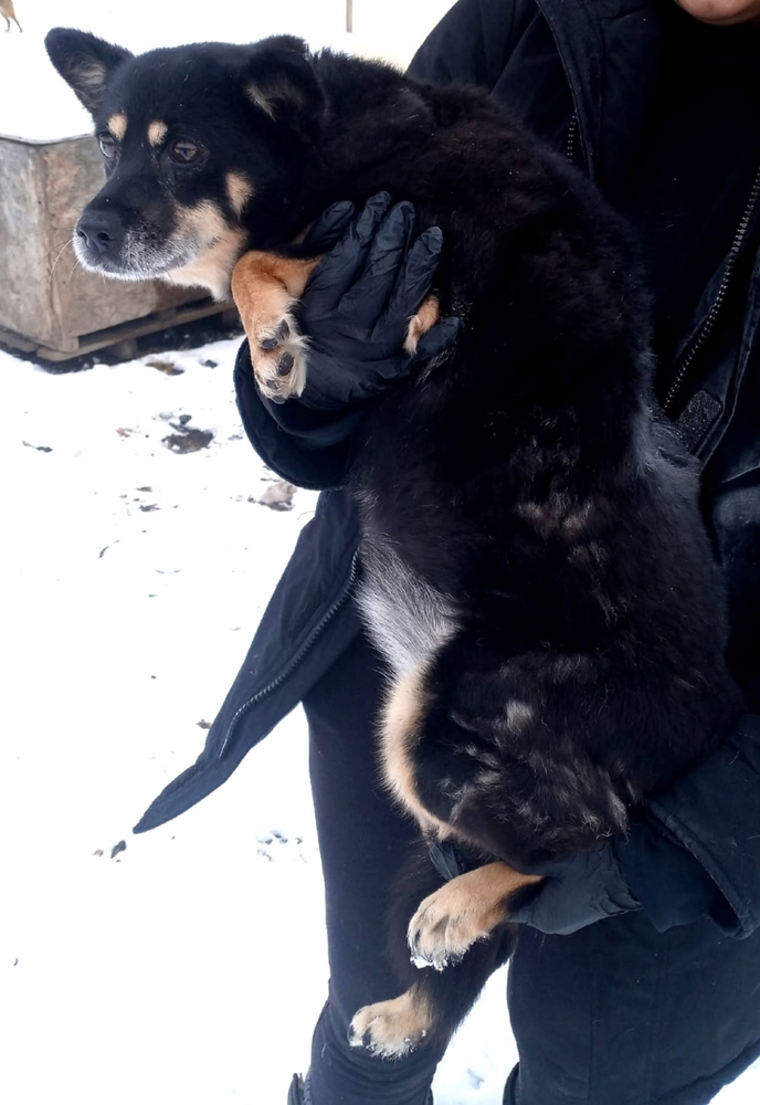 anpIIVD2zZsGGqyRjH8QfpjoP8ipEx4tY93Tu19l