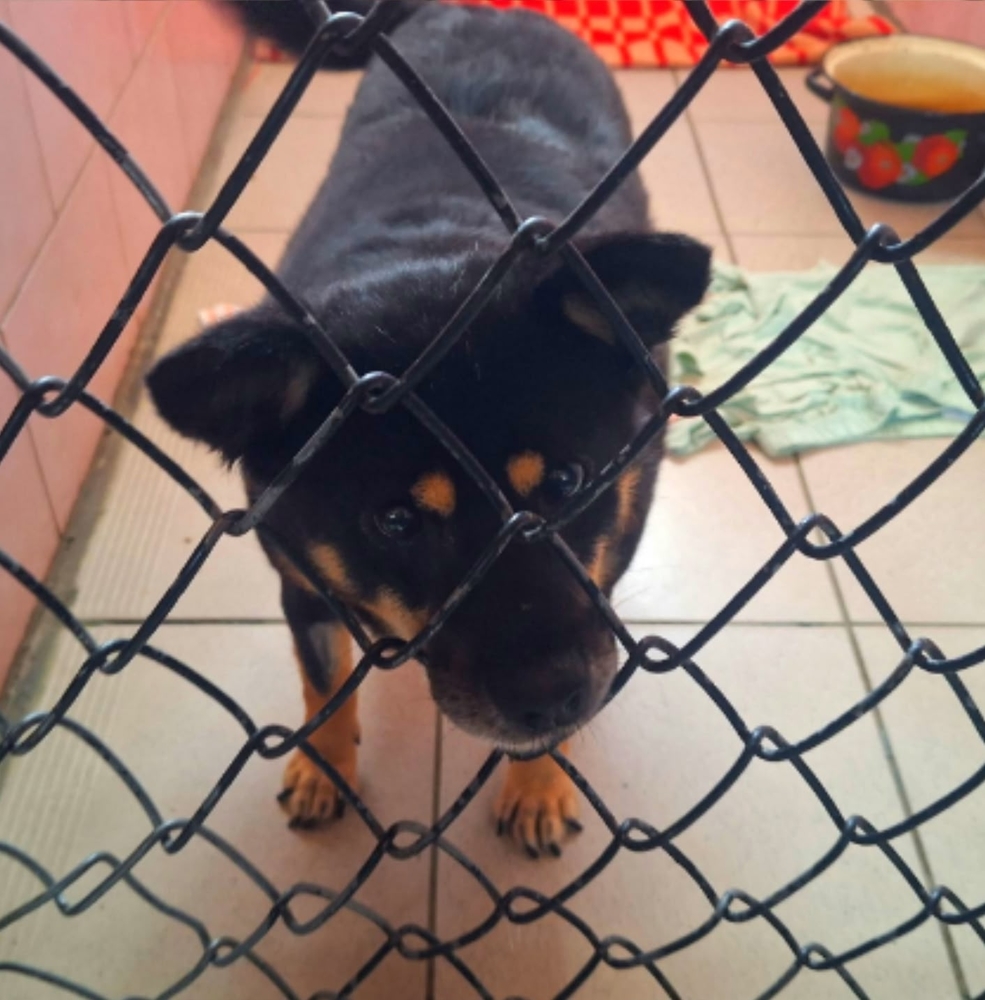 HDFYlXZn4AD8K0Gjz1ZRP9QpTNz0Tb-TIV5PkKho