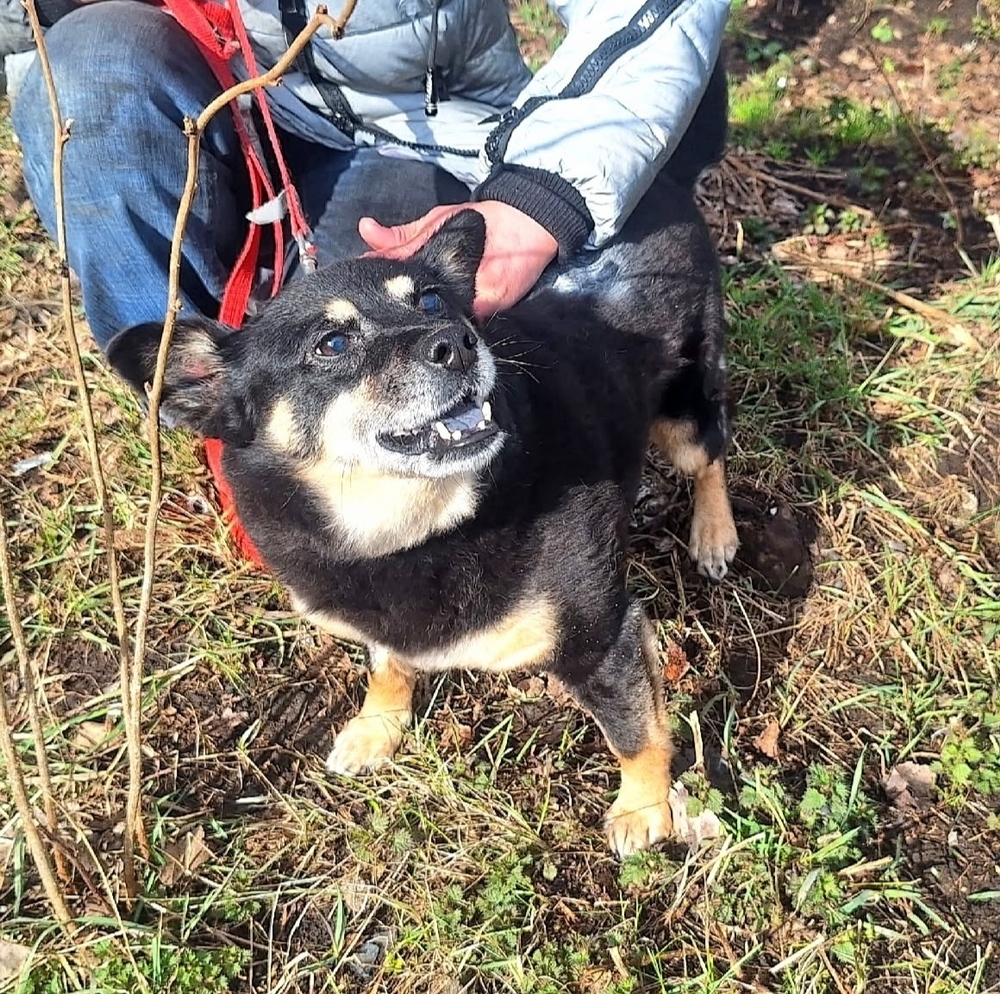 nyDSeh2q3tST2hNs3vgmUKyE1FqFzvXnxG_owIp7