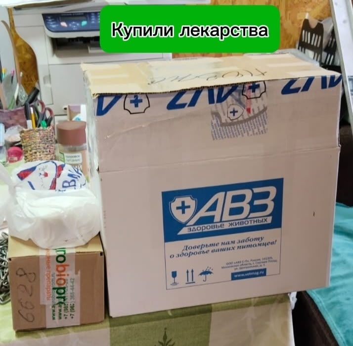 Sbe-O3NoVJrOD4ECq0hxUwynnmhn2AGrqjeZPlVA