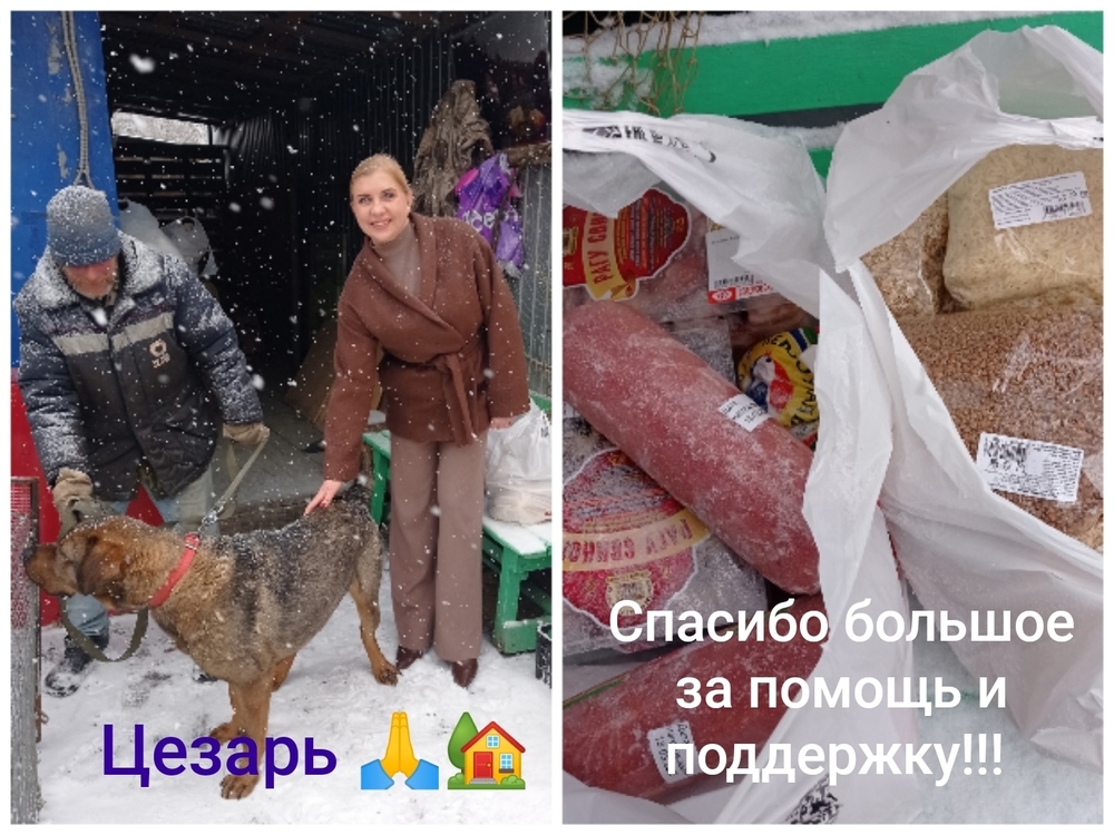 bAOVCxJpv8hYHjI8DcZrZE7SvpoDDM_3YOb-DGae