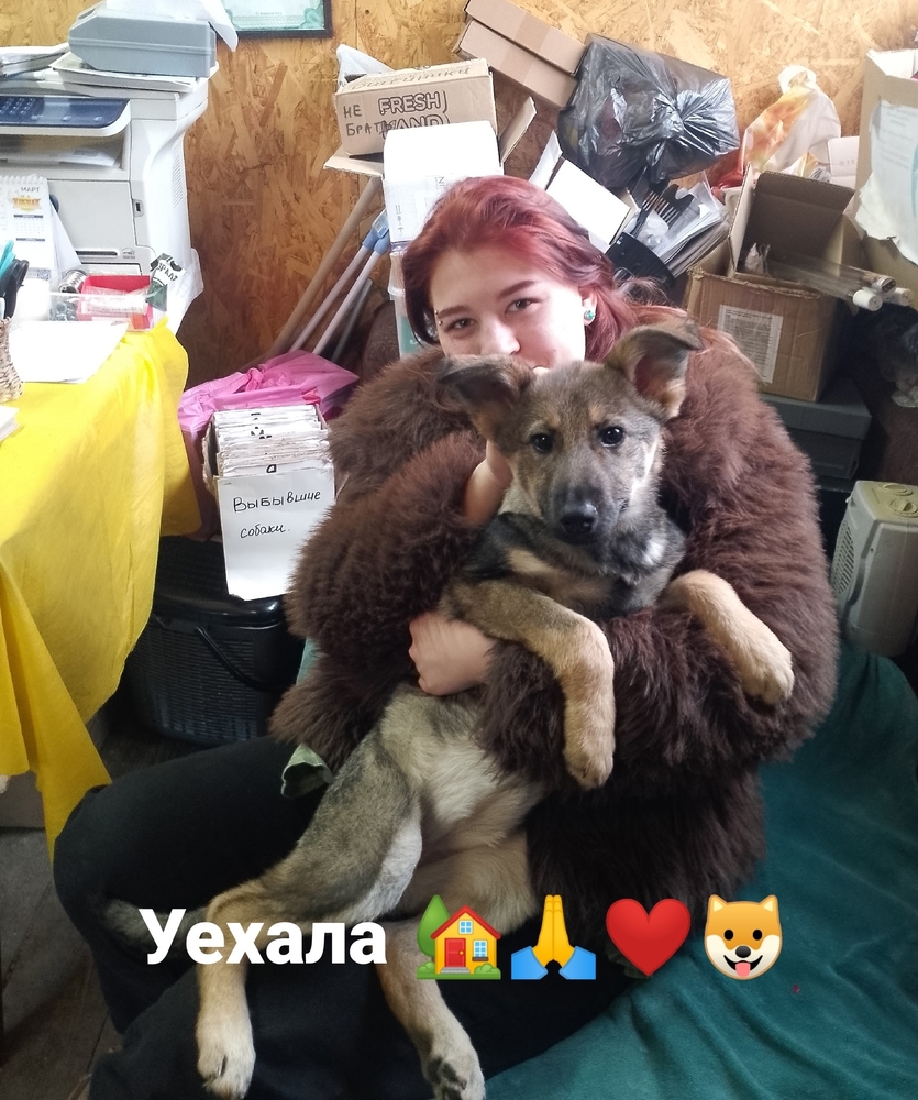 nlPOht2EU8IyEu0Dm1HGxUR4AzR5LK-Pz-5WqYeo