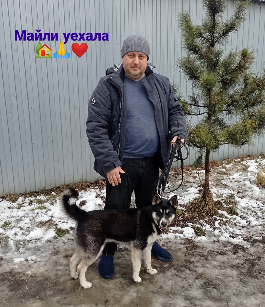 1hvMNM-x8n2YDKhw4SP5EHHh4KE5GCqhbX-0_xqi