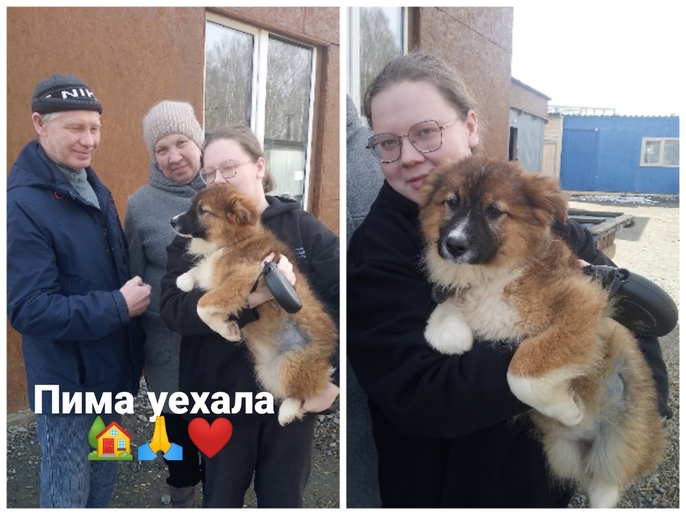 n2hzqfeJKqDPpcrRypegLrCJGPXQs9GoYTD8Vfic