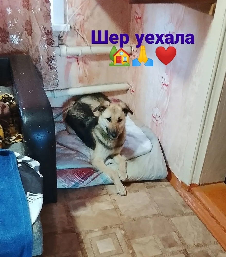 qKCQOeQsl87Lik0x30fXcsr-E0TIpW1R6BtewMRw