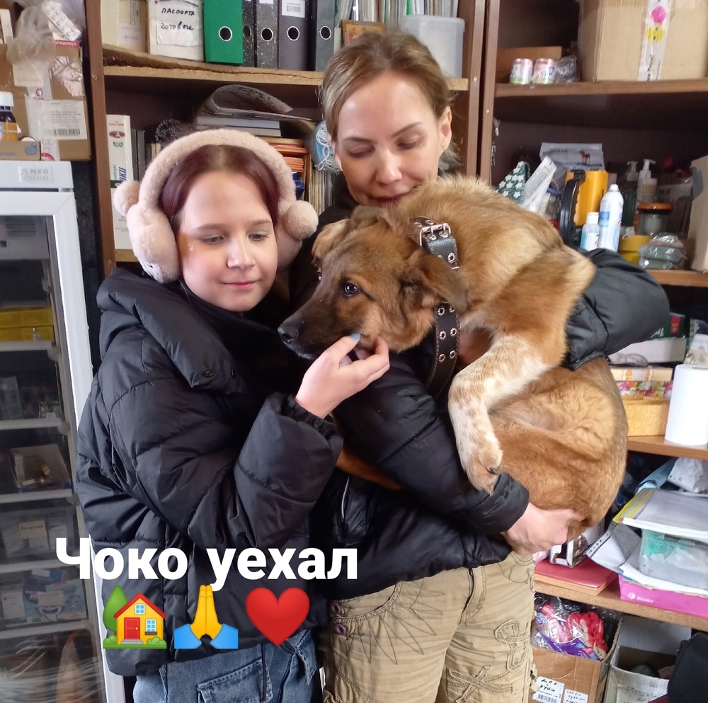 V9-IdDzqV2cAkNu_GE4gn7bkdaQL28Ui40yb78r-