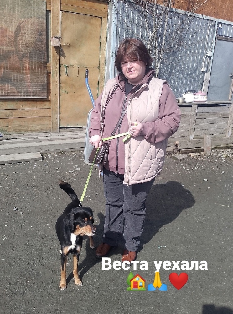 Z1Ilgl2BBQtqh6ucHVve4fUqU-PrgPtmVHjhaog9