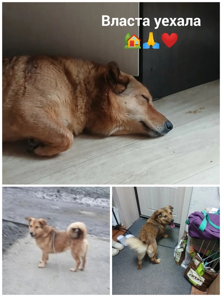 Z2sw410iur-vYQufii_UnDJdKyXfXxHTkO8vpUiq