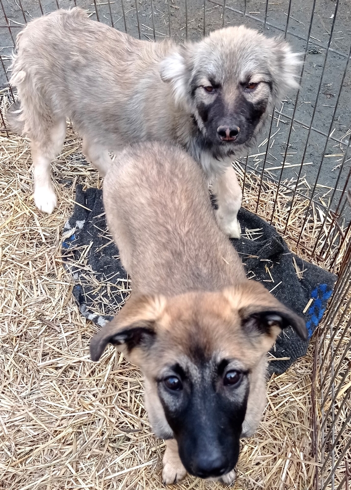 nGQhnTDIJG2hoIke0Zd8dRzYgtVYw7CbMyTHtpyW