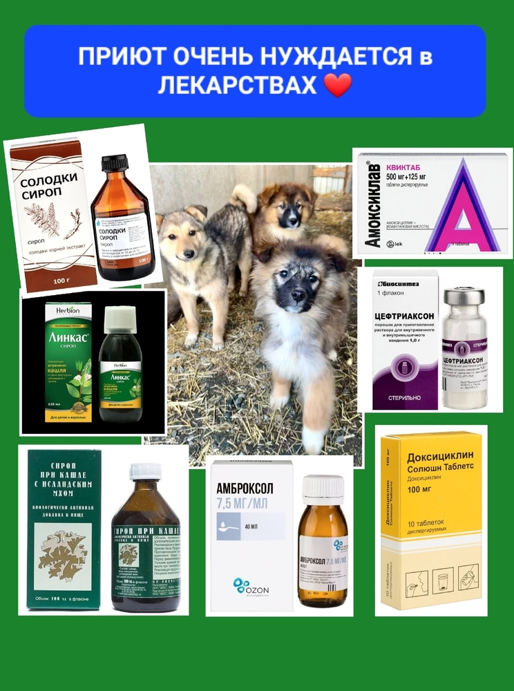 q4x6T-k8AgAtZO8l4vs62EVdAOTn24PxYdVcxQgV