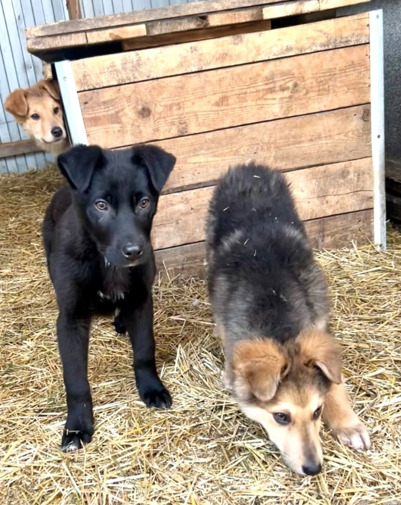 TanfZN2h7IBJz5xKdzwyw6pnvCMcQaWFddAv2fEt