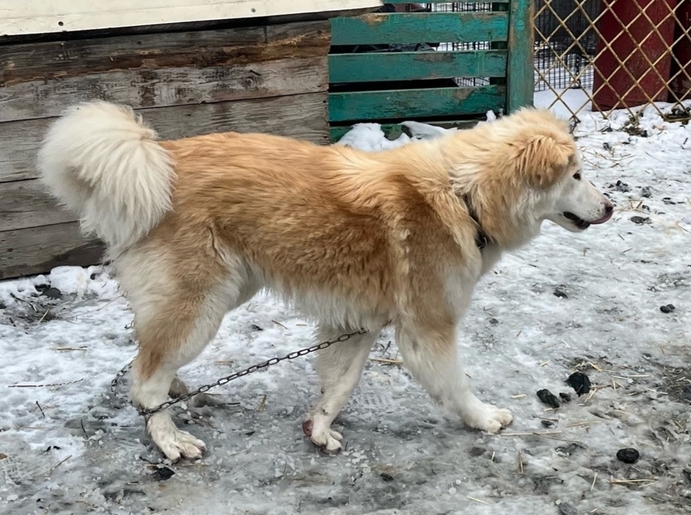 D5FAb_m446QS2D_57rzo33iSmy7_JKXik4fm3Lmo