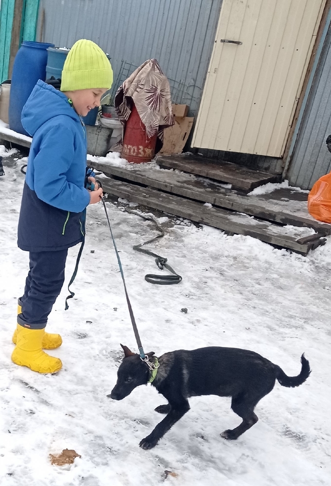 LmtJr2uD8UjpuEmmJSOJAySig6QhX0R_4v1HTnko