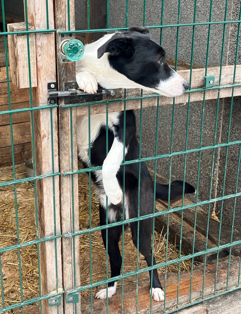 OOVZU0YXcq7L6-SDxx2b41HPf9Sm5gD6ZFzniXBD