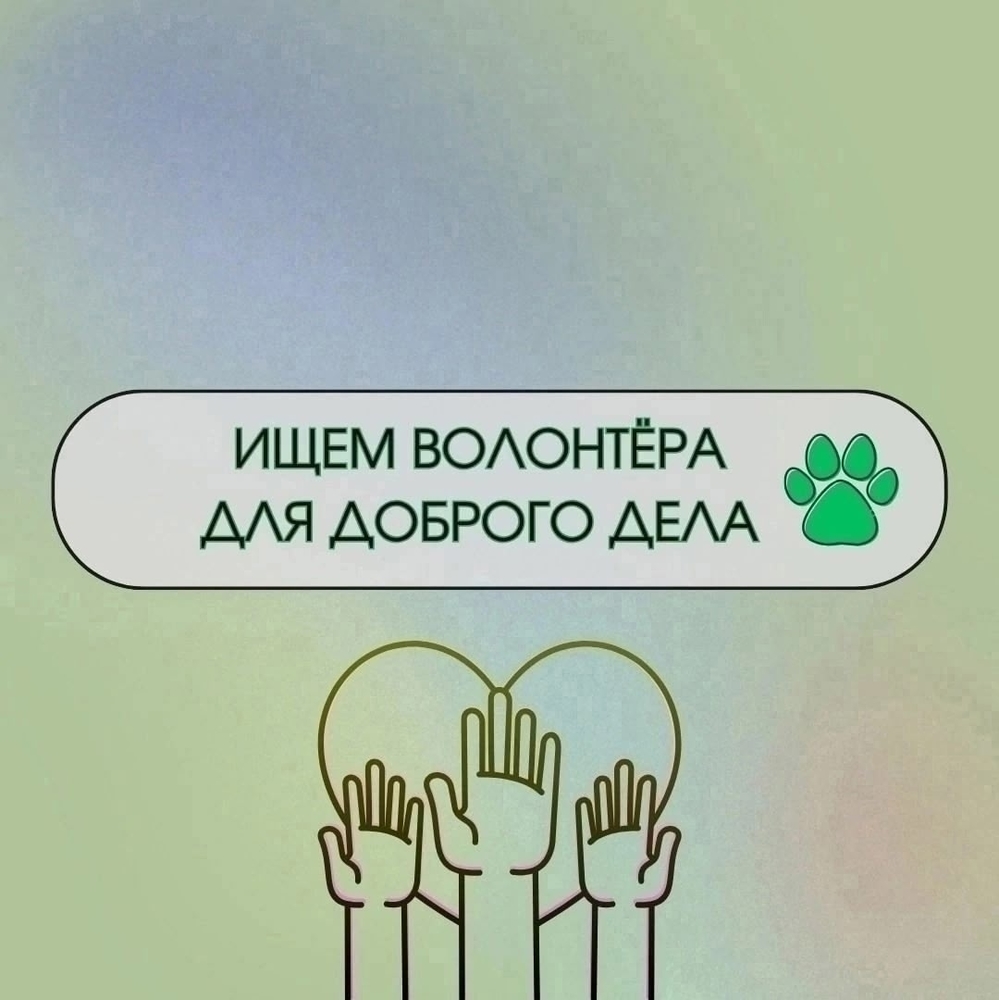 elI96jLHKUMspnld32iLN2RK1JmuT8heBHbA6WOh